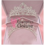 Coroana cu colier si cercei AS34 Argintiu cu cristale din sticla